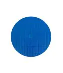 CAMEO DISK Platinium Type 1
