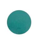 CAMEO DISK Platinium Type 2